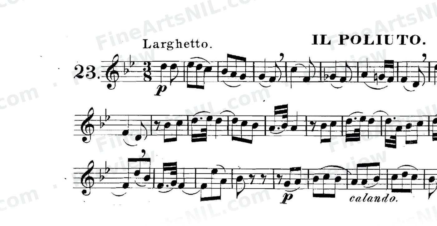 The Art of Phrasing / No. 23 / Il Polito.
