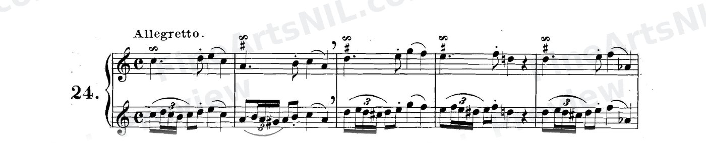 The Gruppetto / No. 24