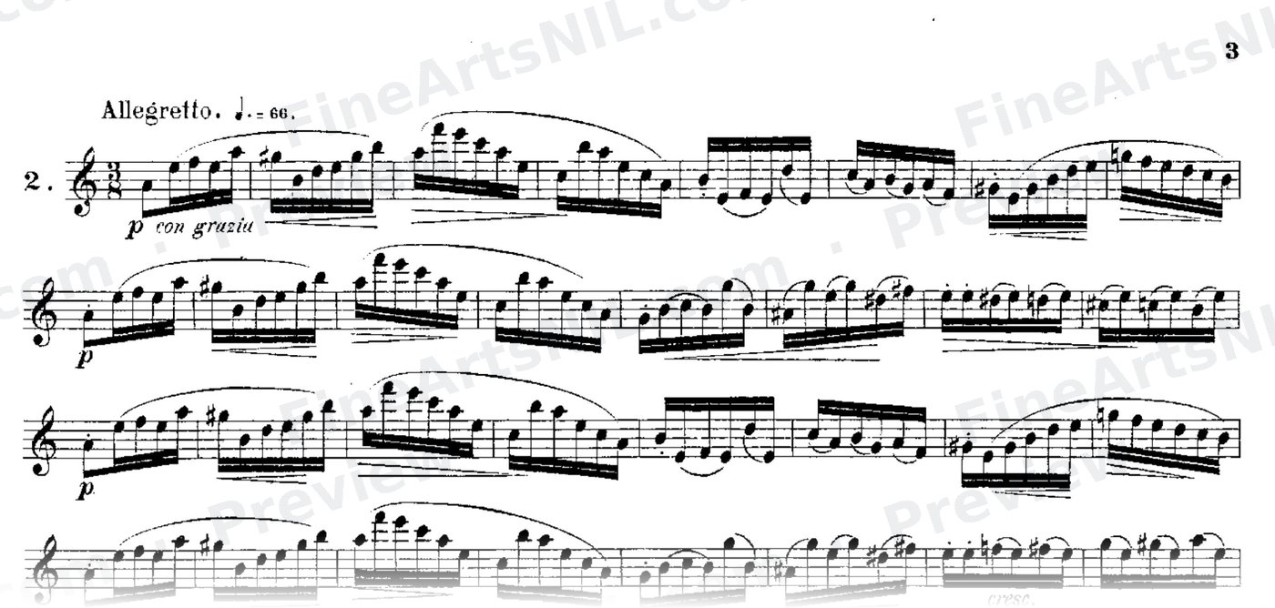 24 Instructive Exercises, Op. 30 / No. 2 / Exercise No. 2