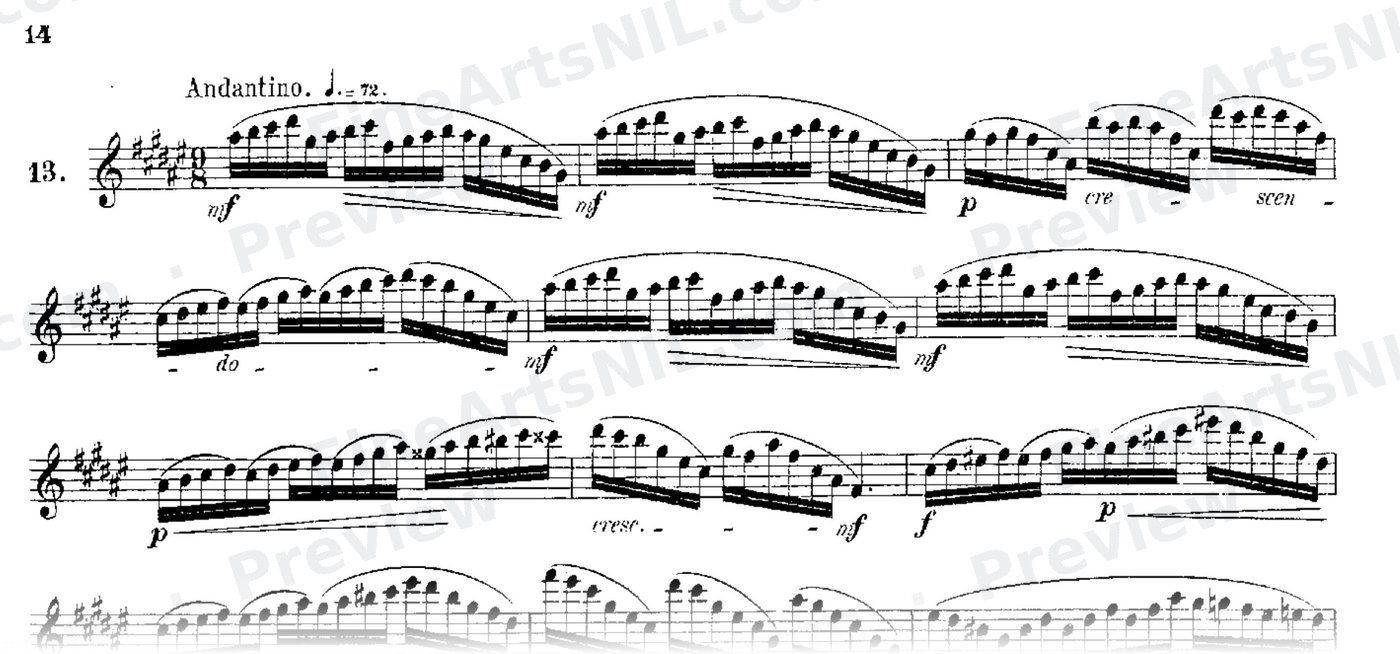 24 Instructive Exercises, Op. 30 / No. 13 / Exercise No. 13