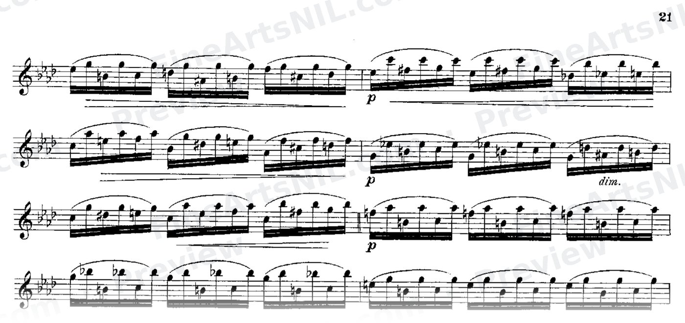 24 Instructive Exercises, Op. 30 / No. 20 / Exercise No. 20