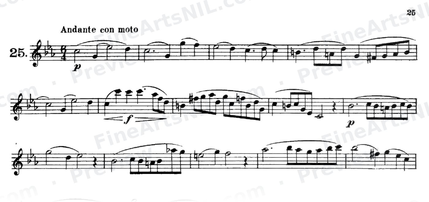 32 Etudes / No. 24 / Etude No. 24