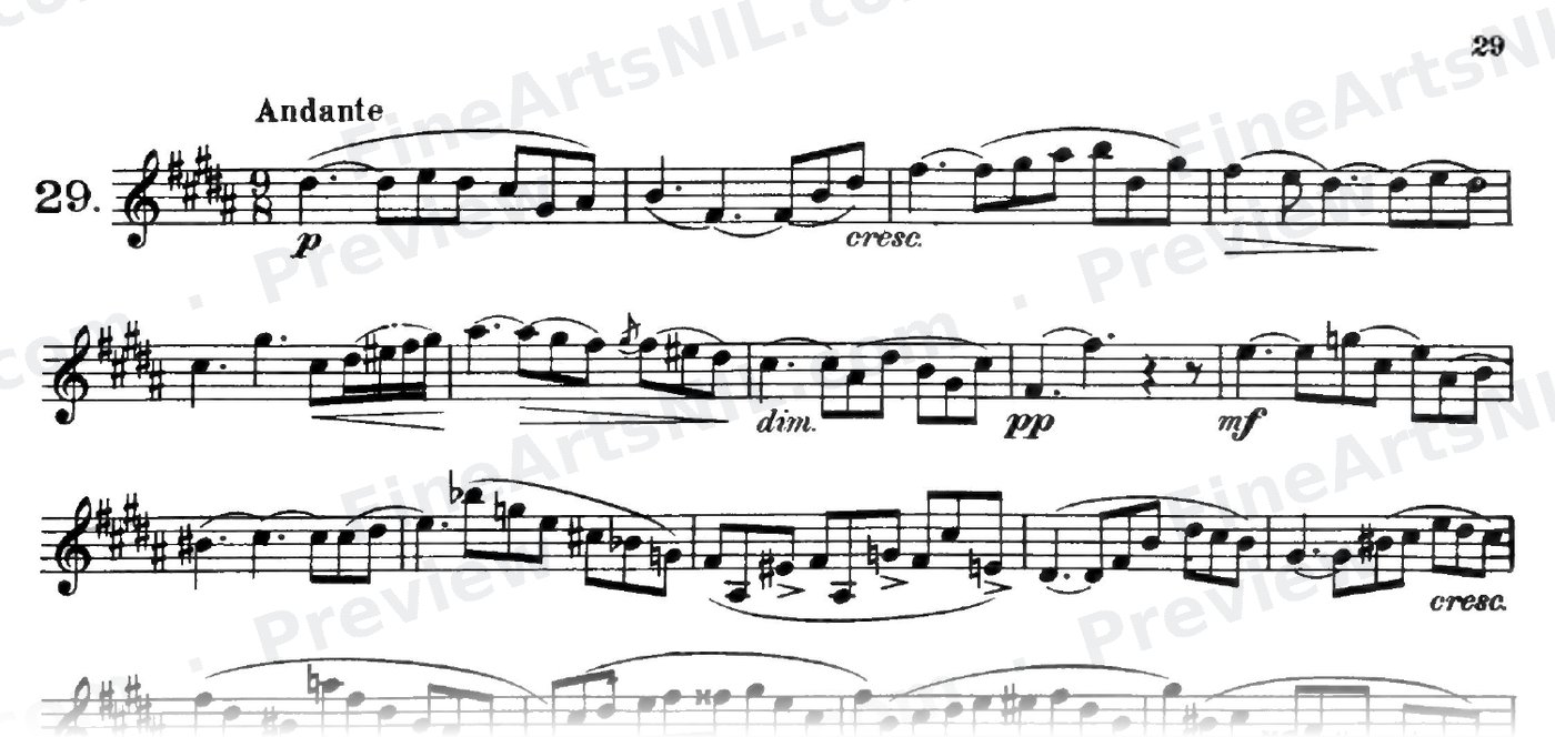 32 Etudes / No. 28 / Etude No. 28