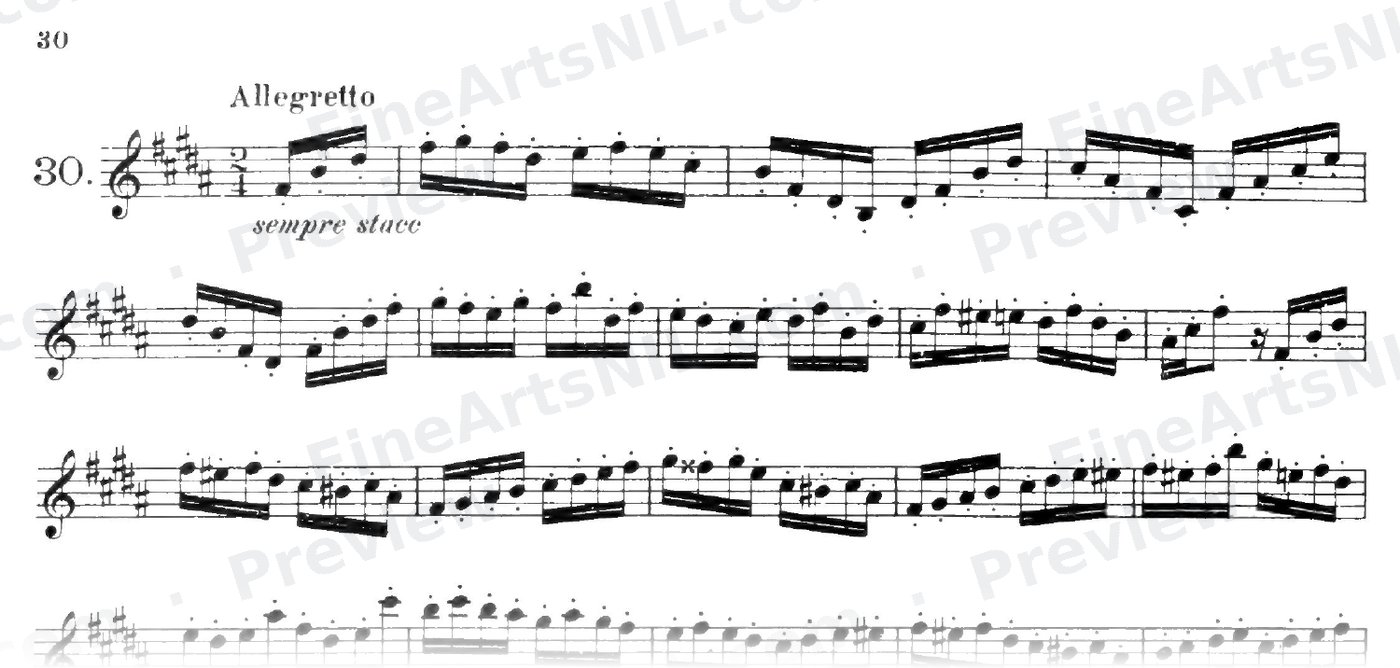 32 Etudes / No. 29 / Etude No. 29
