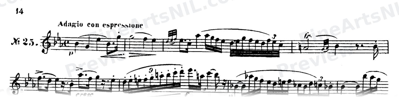 48 Studies, Op. 31 / No. 25 / Study No. 25