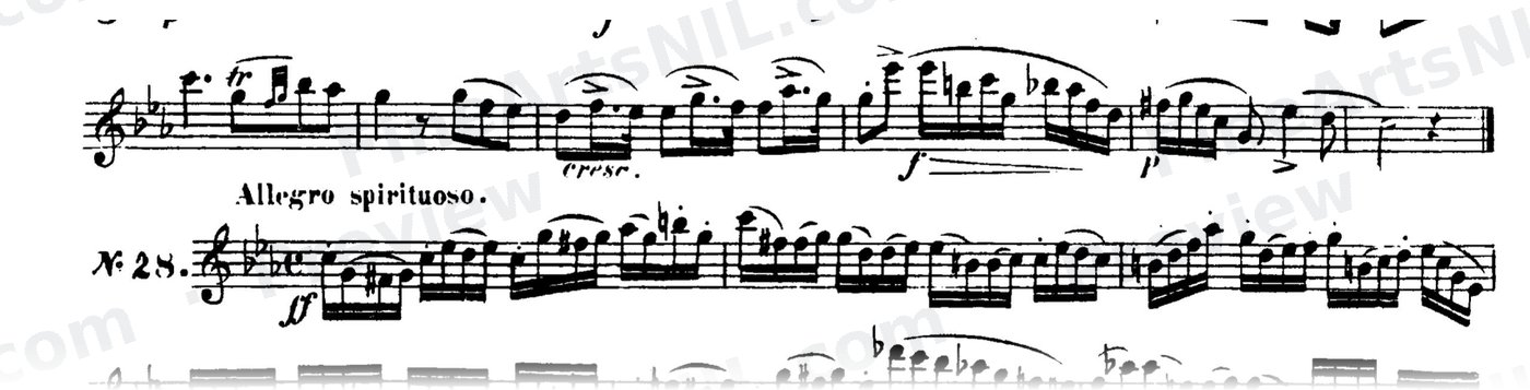 48 Studies, Op. 31 / No. 28 / Study No. 28