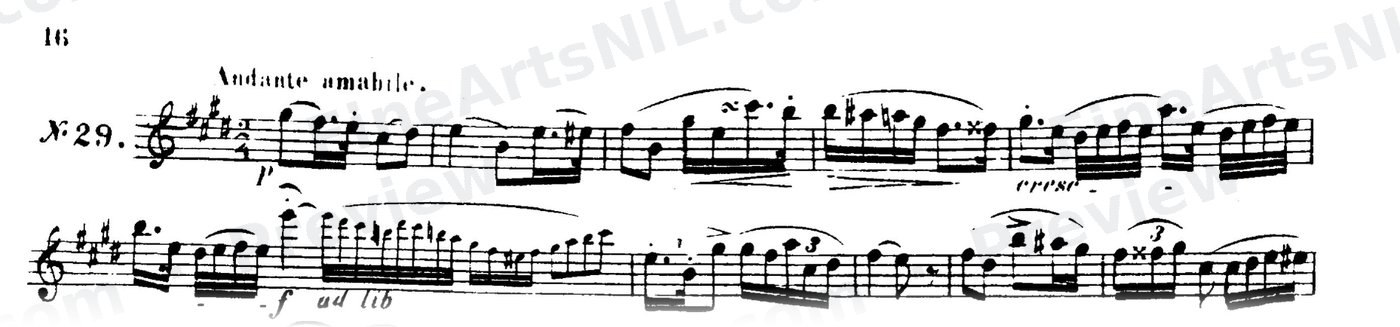 48 Studies, Op. 31 / No. 29 / Study No. 29