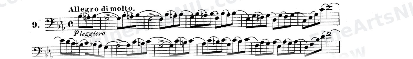 Bassoon Studies, Op. 8 Vol. II / No. 9 / Study No. 9