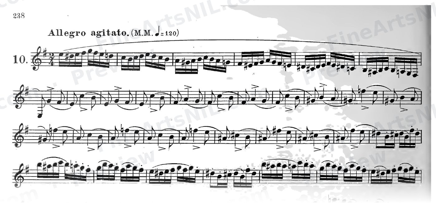 Characteristic Studies / No. 10 / Characteristic Study No. 10