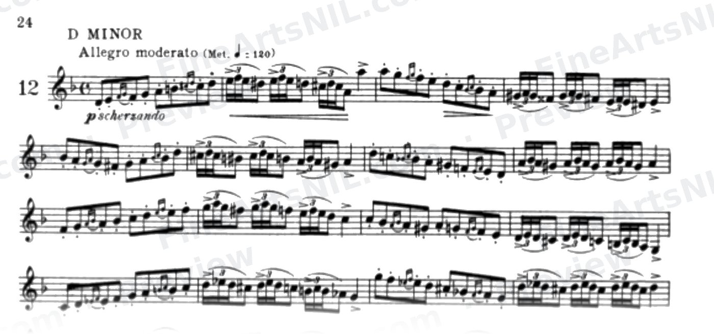 Characteristic Studies / No. 12 / Characteristic Study No. 12