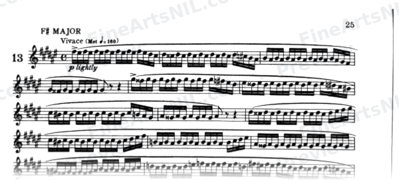 Characteristic Studies / No. 13 / Characteristic Study No. 13
