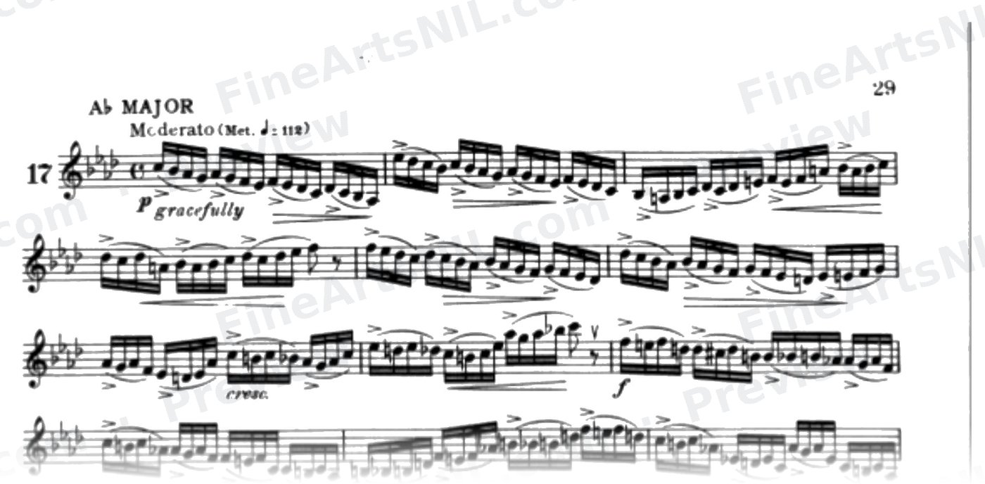 Characteristic Studies / No. 17 / Characteristic Study No. 17
