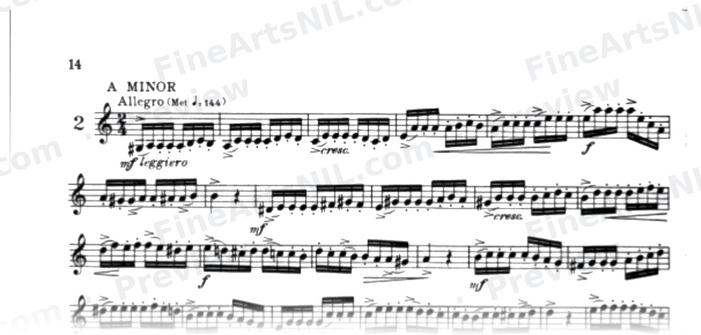 Characteristic Studies / No. 2 / Characteristic Study No. 2