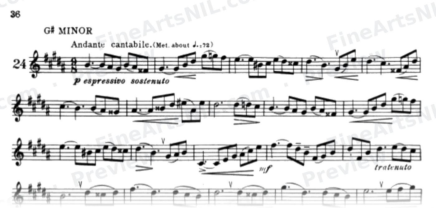 Characteristic Studies / No. 24 / Characteristic Study No. 24