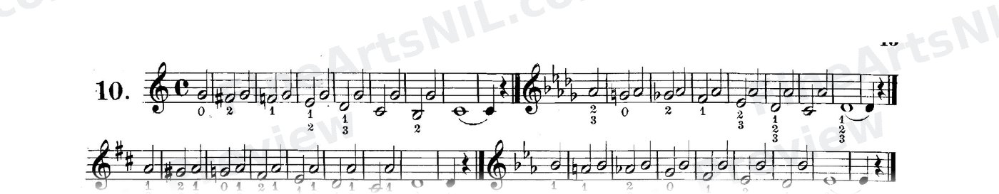 First Studies / No. 10