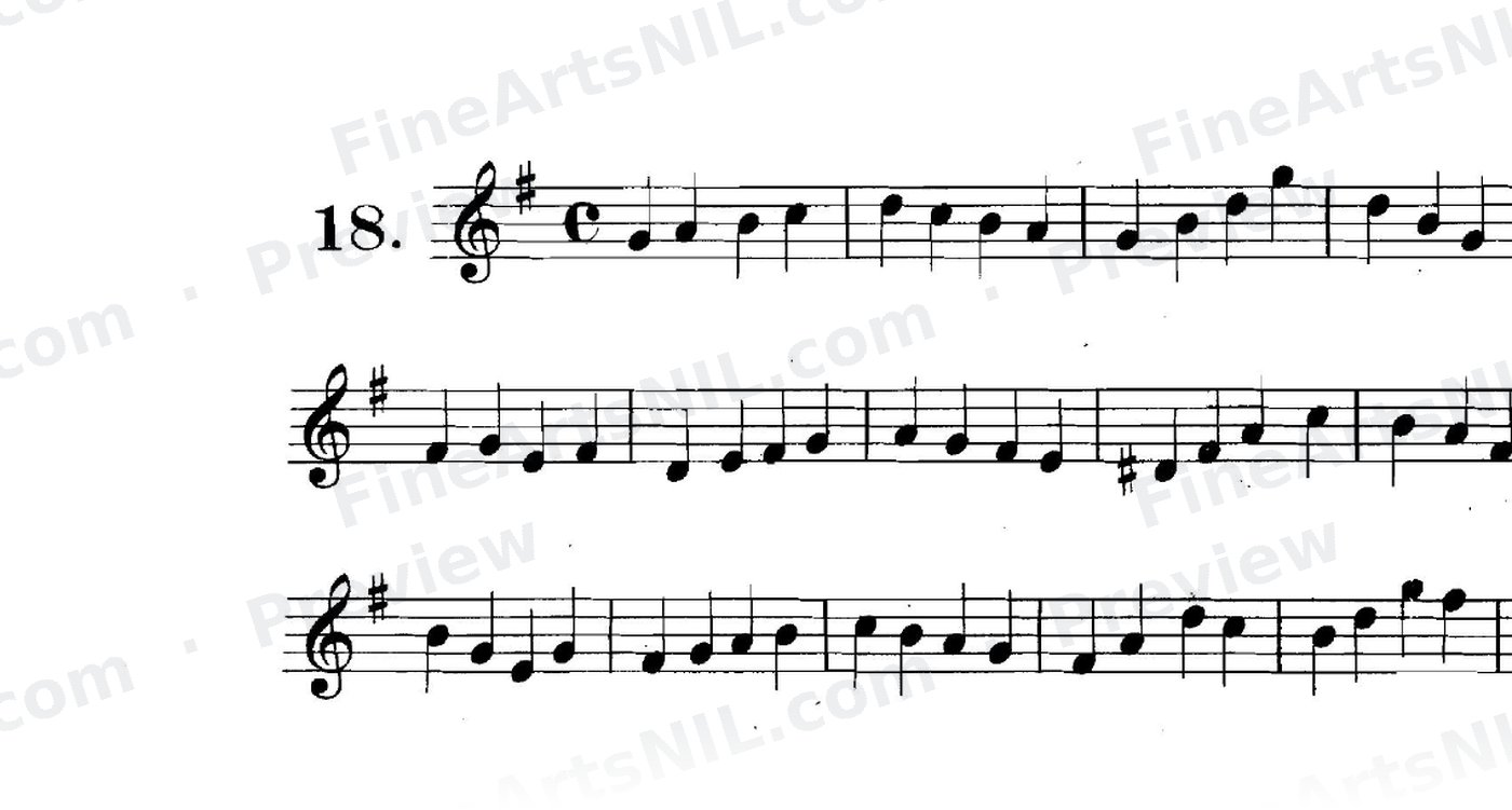 First Studies / No. 18