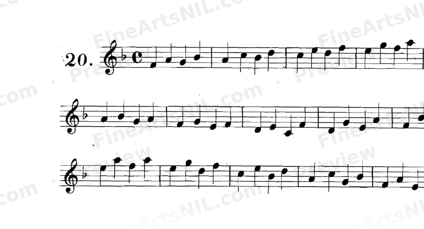 First Studies / No. 20