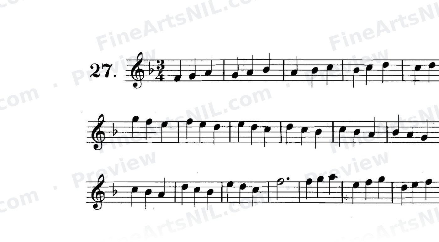 First Studies / No. 27