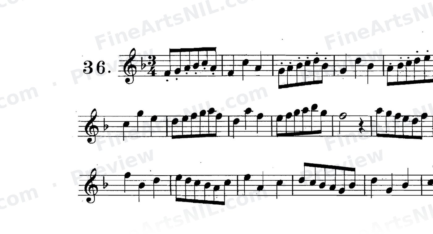First Studies / No. 36