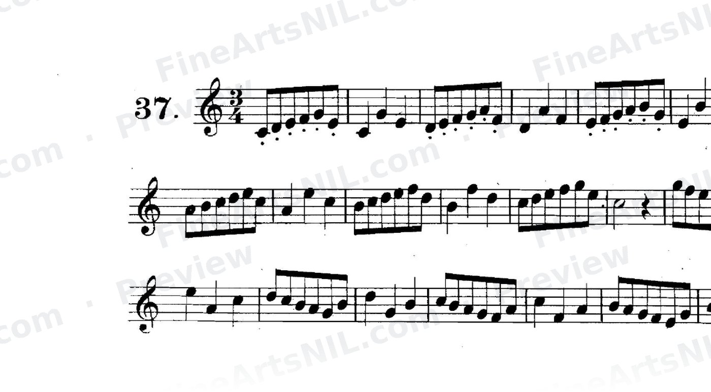 First Studies / No. 37