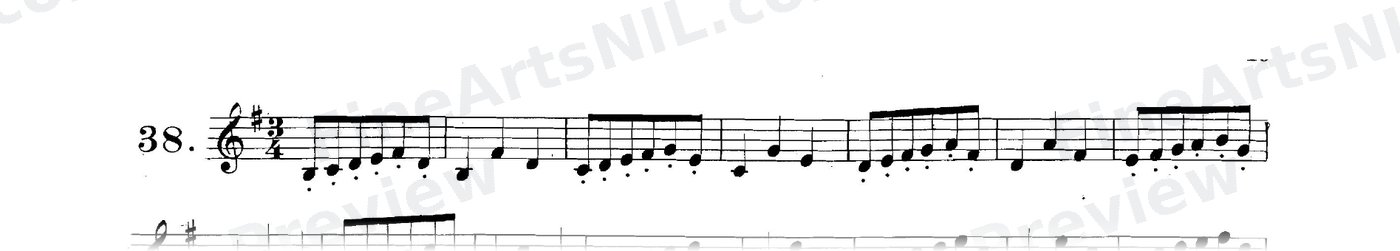 First Studies / No. 38