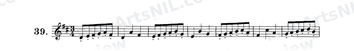 First Studies / No. 39