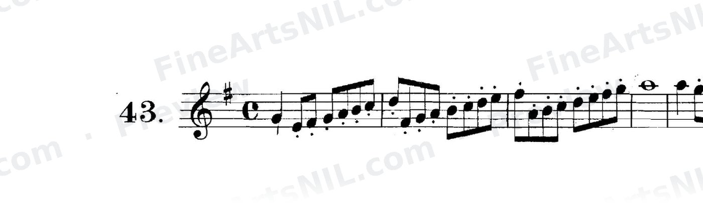 First Studies / No. 43