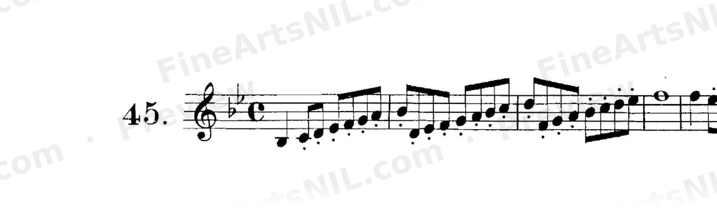First Studies / No. 45