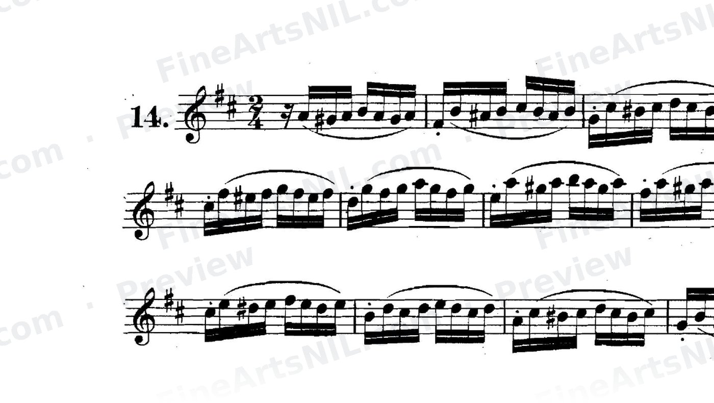 Preparatory Exercises on the Gruppetto / No. 14